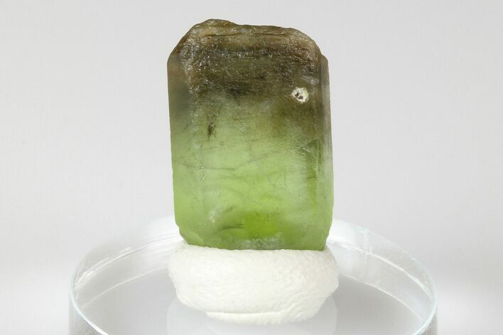 Olivine Peridot Crystal with Ludwigite Inclusions - Pakistan #185246